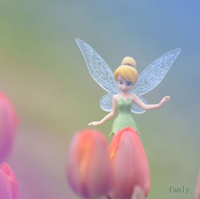 fanly